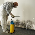 A Person Treating A Wall With Mould