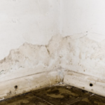 Mould in the corner of walls