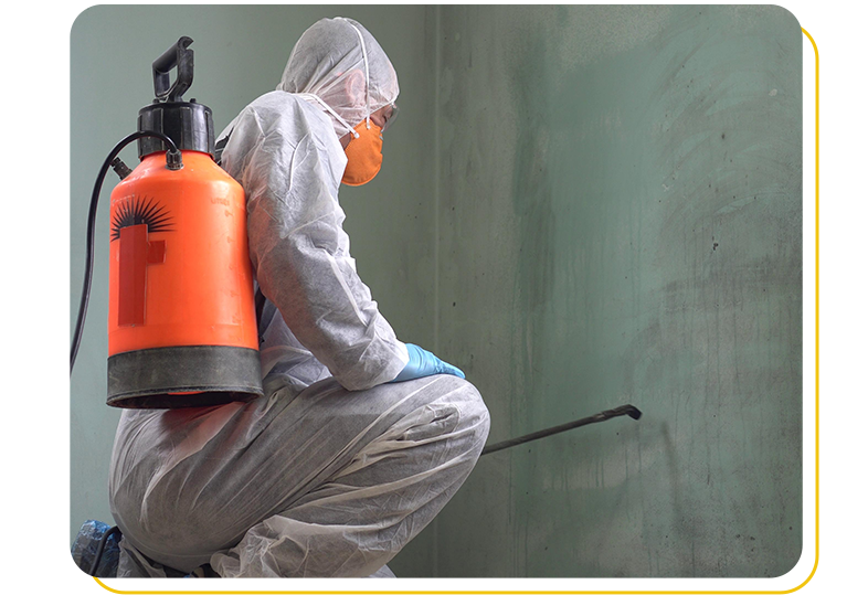 mould removal london