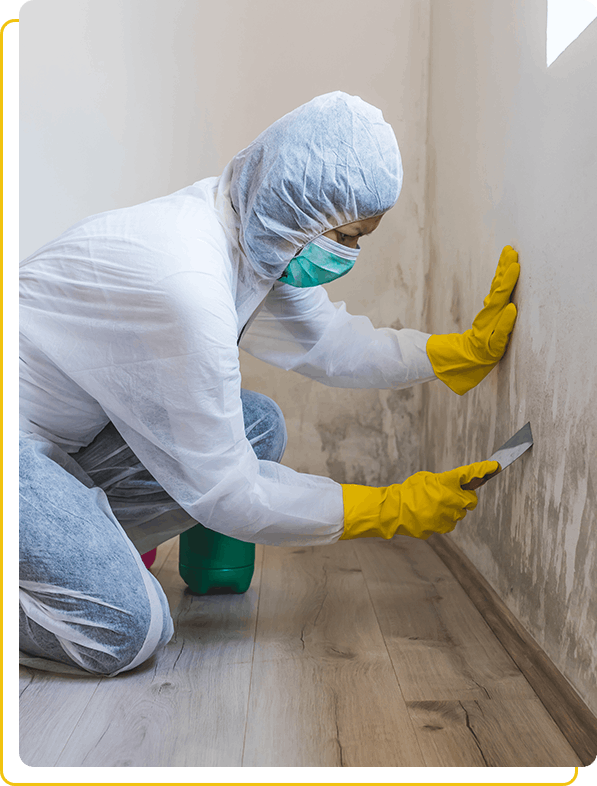 Benefits of professional mould